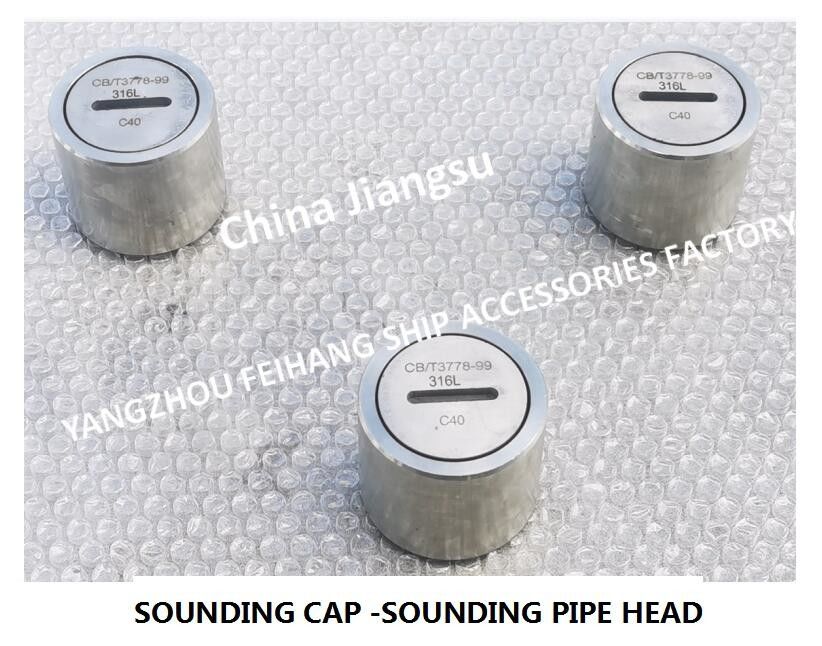 Stainless Steel Sounding Pipe Head Measuring Pipe Head Sounding Injection Head Model C50 Cb/T3778-99