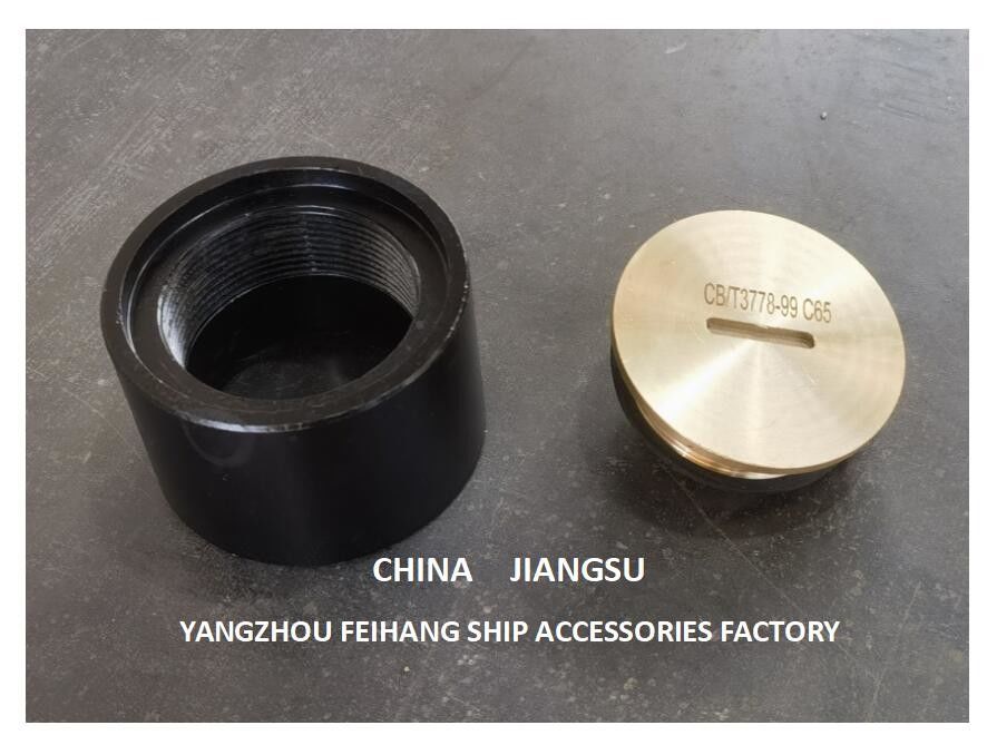 SOUNDING PIPE HEAD TYPE C65 CB/T3778-99 SOUNDING INJECTION HEAD