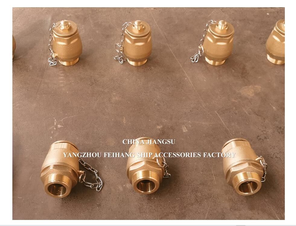 Drain Ball Valve BRASS Body NPT Cover Stainless Steel Float Ball DN32 DN40 Model