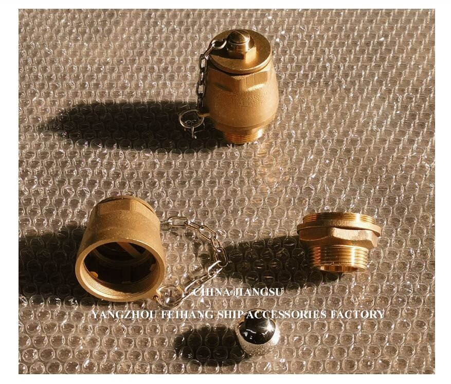 Drain Ball Valve BRASS Body NPT Cover Stainless Steel Float Ball DN32 DN40 Model