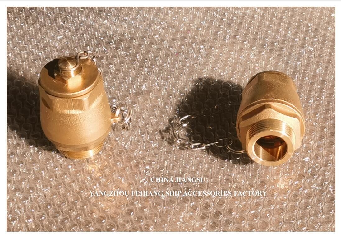 Drain Ball Valve BRASS Body NPT Cover Stainless Steel Float Ball DN32 DN40 Model