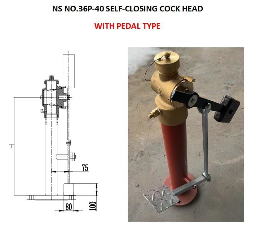 Thread Connection CB Design NS NO.37N-40 Self Closing Gate Valve for Ship Accessory