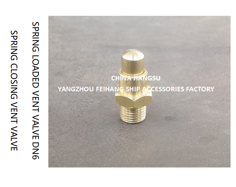 DN6 Spring Loaded Vent Valve with Threaded End Compliant with CB/T3778-1999 Standard