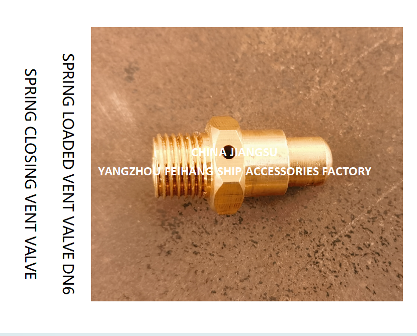 DN6 Brass Spring Loaded Vent Valve with Threaded Ends and CB/T3778-1999 Standard