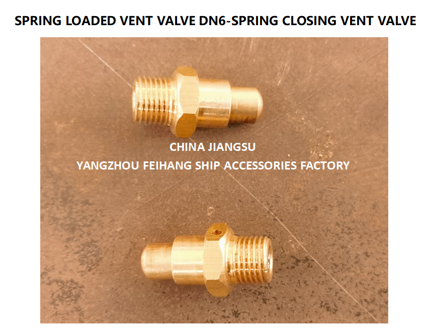 DN6 Brass Spring Loaded Vent Valve with CB/T3778-1999 Standard and Self Closing Function