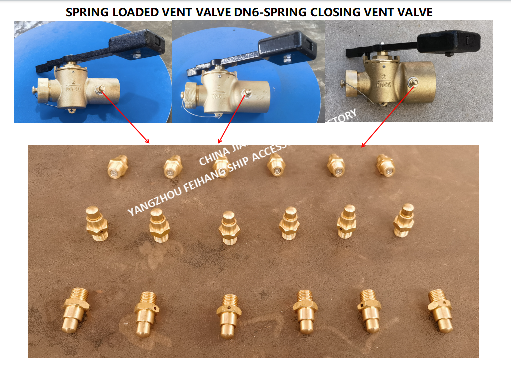 DN6 Spring Loaded Vent Valve with Thread M13 Connection Compliant with CB/T3778-1999 Standard